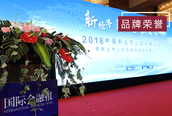 频频获奖，leyu·乐鱼（中国）体育官方网站,再获2018中国新上市公司商业模式先锋奖